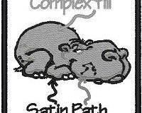 complex-fill-satin-path_PXF