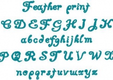 feather print